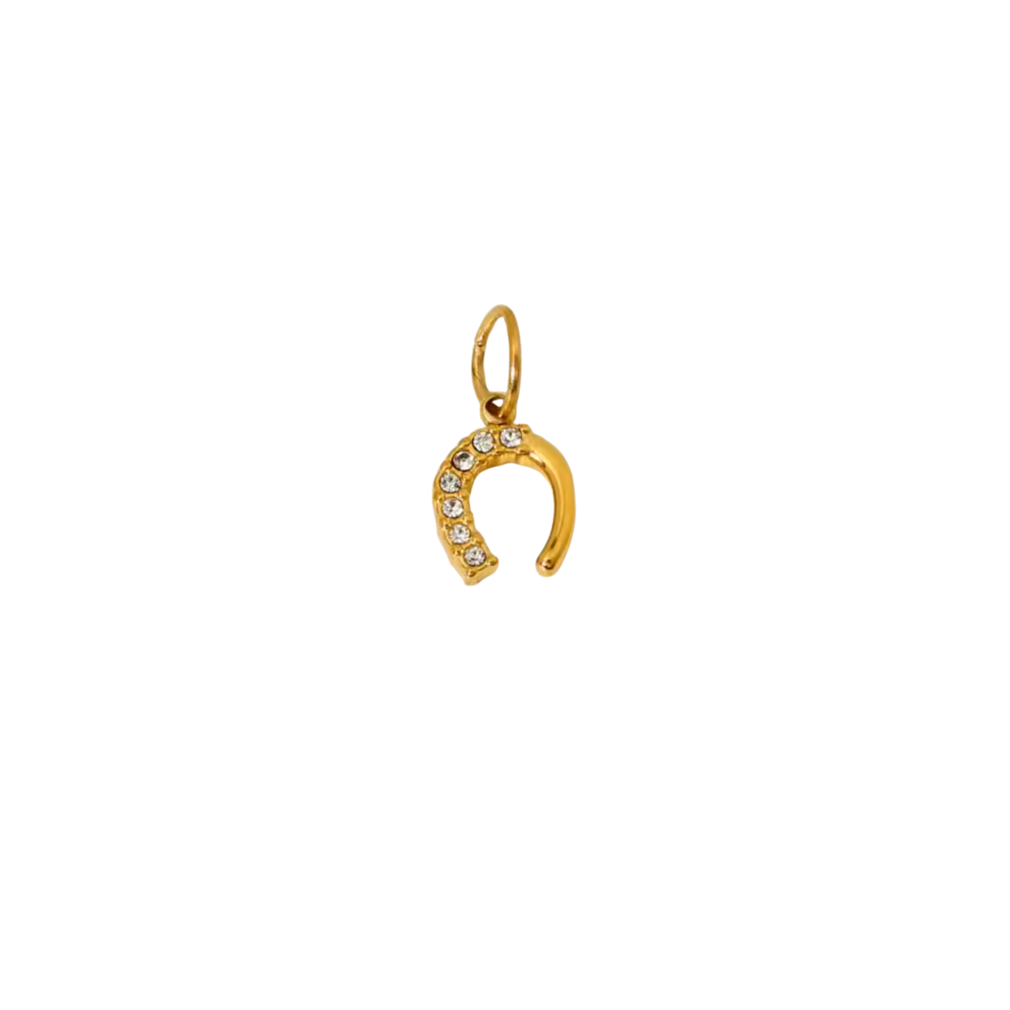 Zircon Horseshoe Charm
