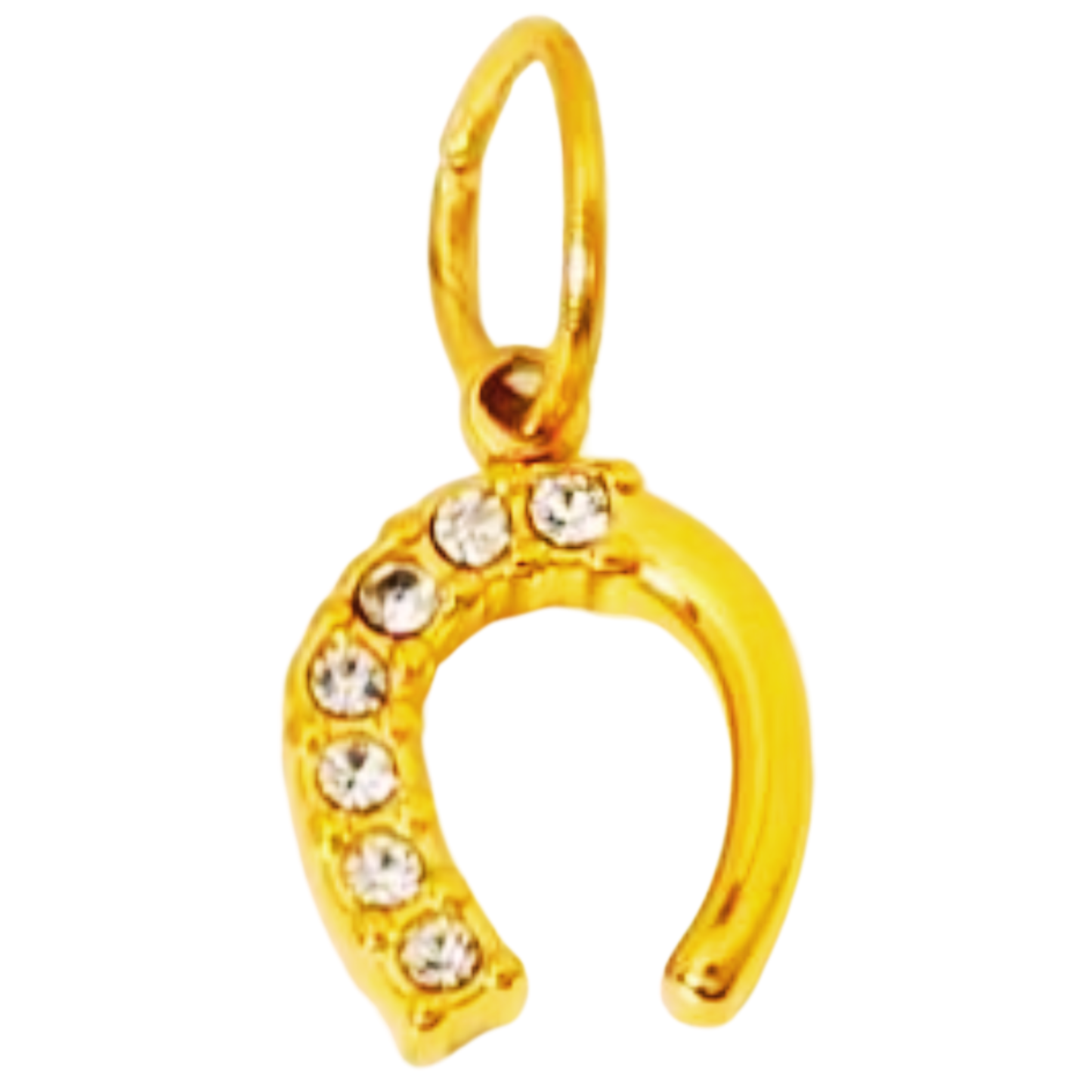 Zircon Horseshoe Charm